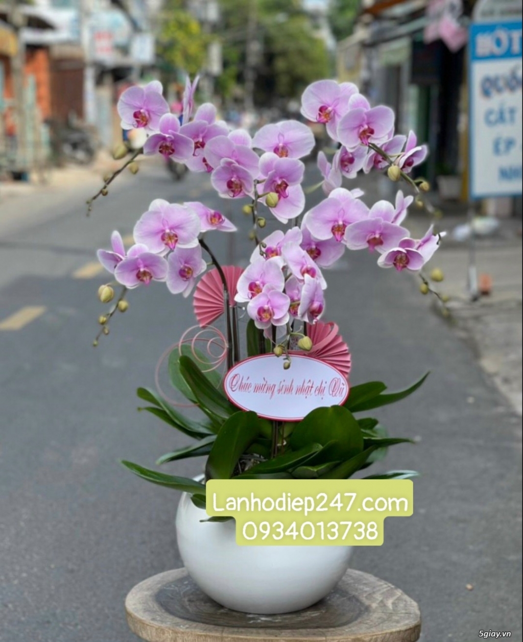 Shop hoa tươi Lan Hồ Điệp 247 tại Quy Nhơn 0934013738 - 11