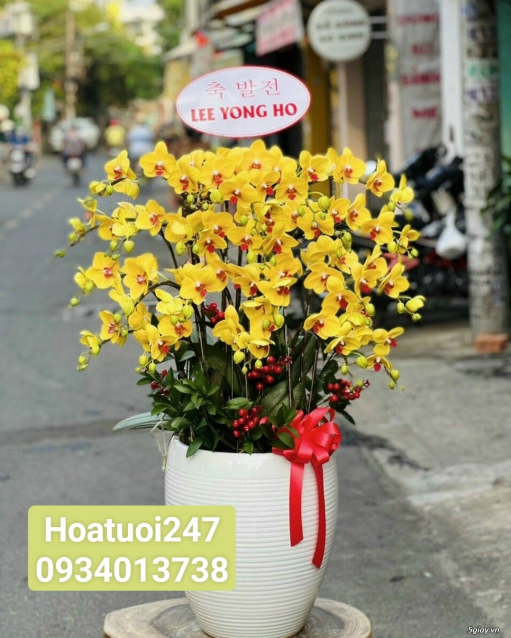 Shop hoa tươi lan hồ điệp 247 tại Dĩ An Bình Dương - 10