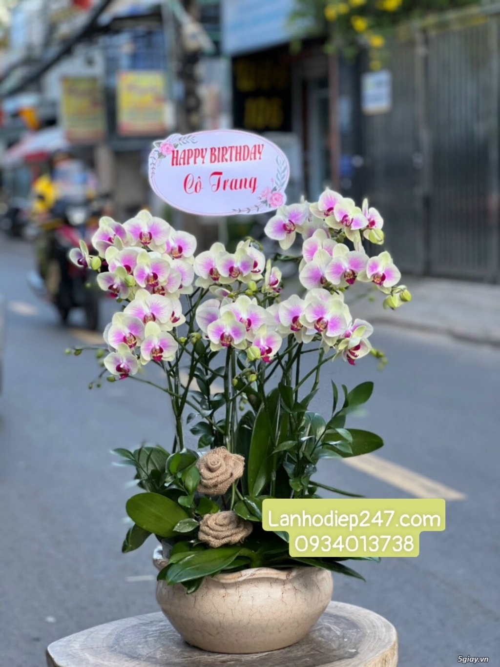Shop hoa tươi Lan Hồ điệp 247 tại Đắc Lắk 0934013738 - 12
