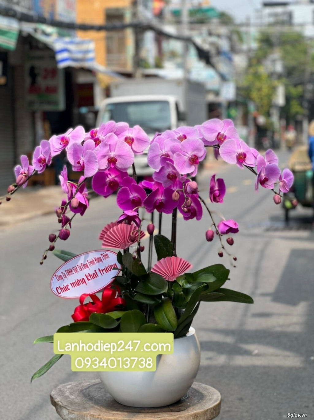 Shop hoa tươi Lan Hồ Điệp 247 tại Bà Rịa Vũng Tàu 0934013738 - 12
