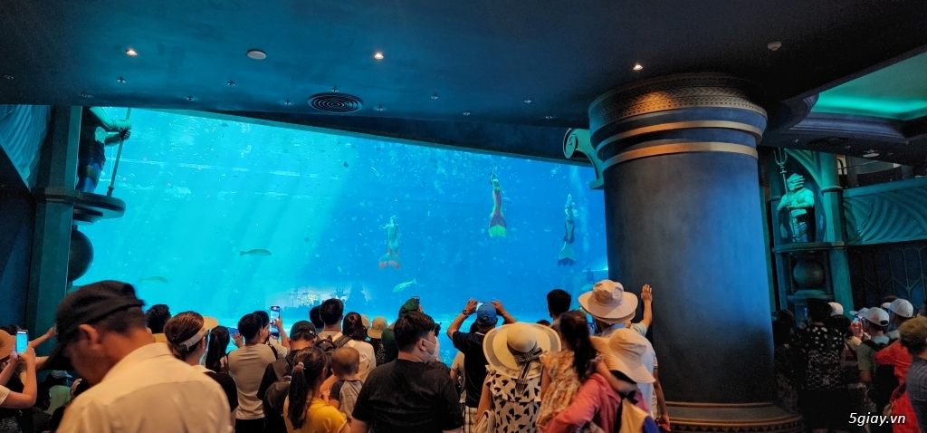 Hình hài hước... Nhiều thể loại vui nhôn - 8