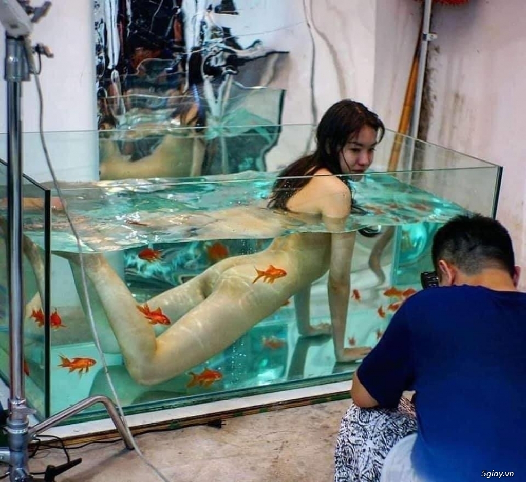 Hình hài hước... Nhiều thể loại vui nhôn - 3