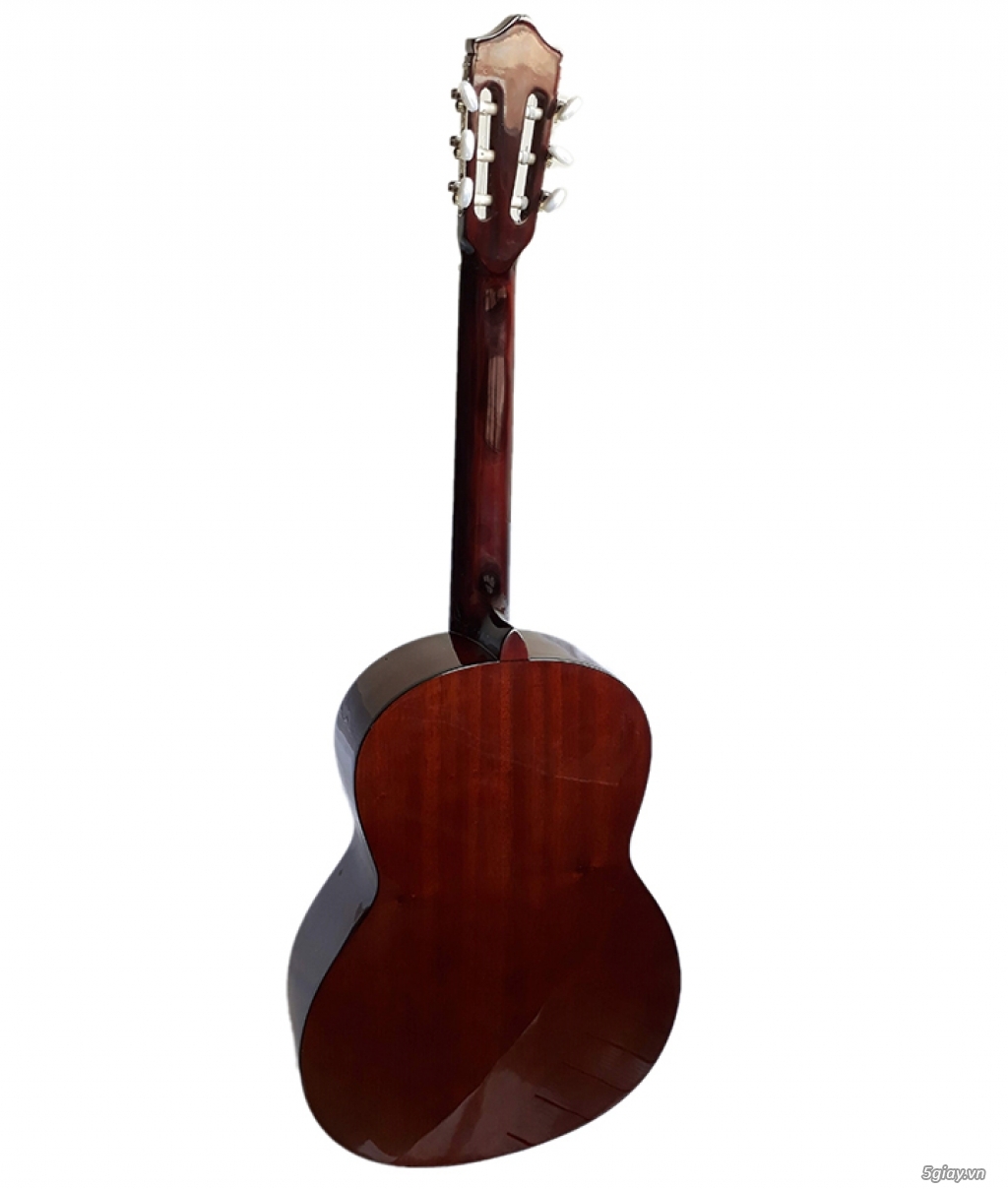 Đàn guitar classic hồng đào gỗ thịt DC120 - BH 1 năm - 2