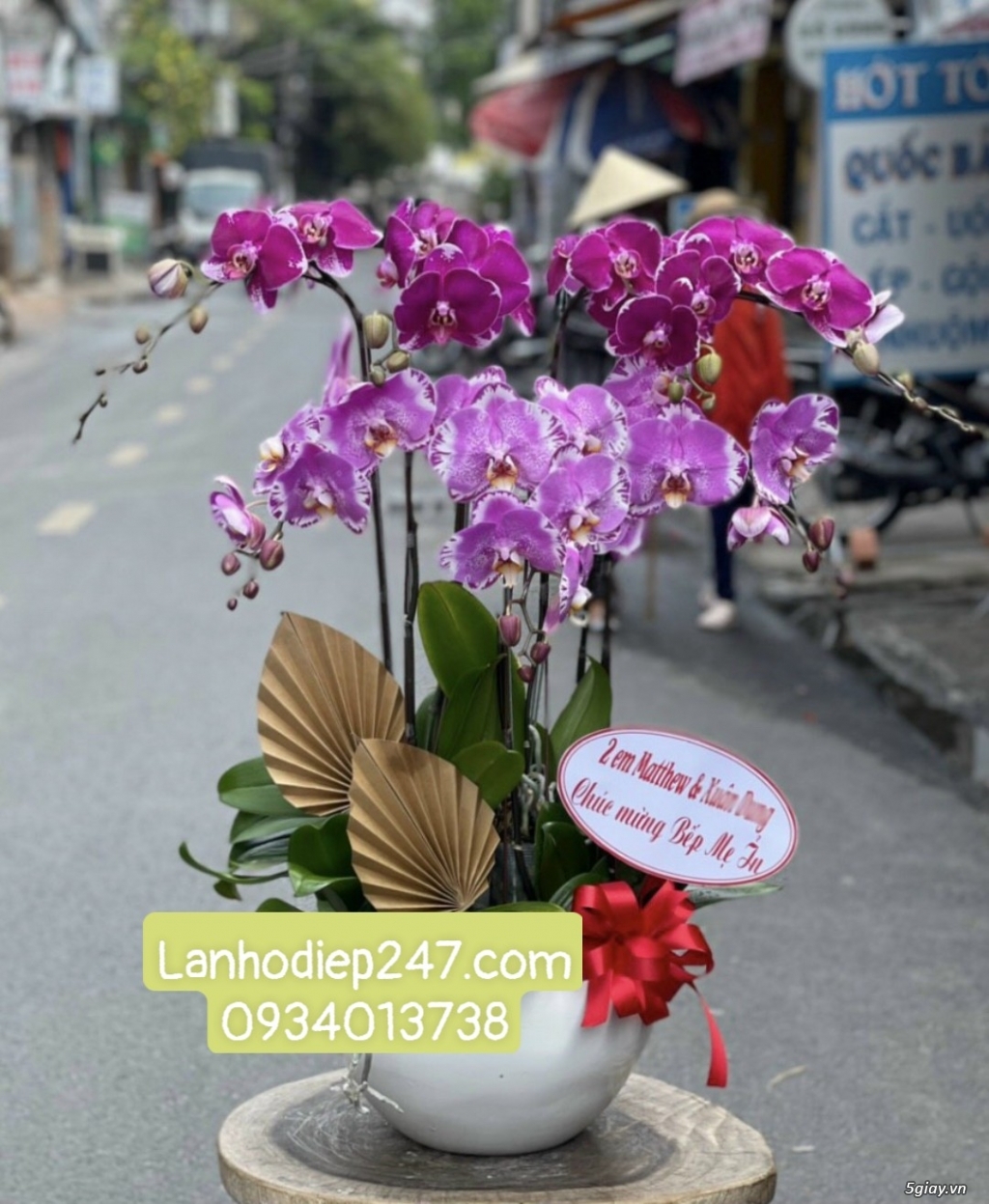 Hoa Tươi Sài Gòn 247 chuyên cung cấp Lan Hồ Điệp dịch vụ điện hoa 247 - 13
