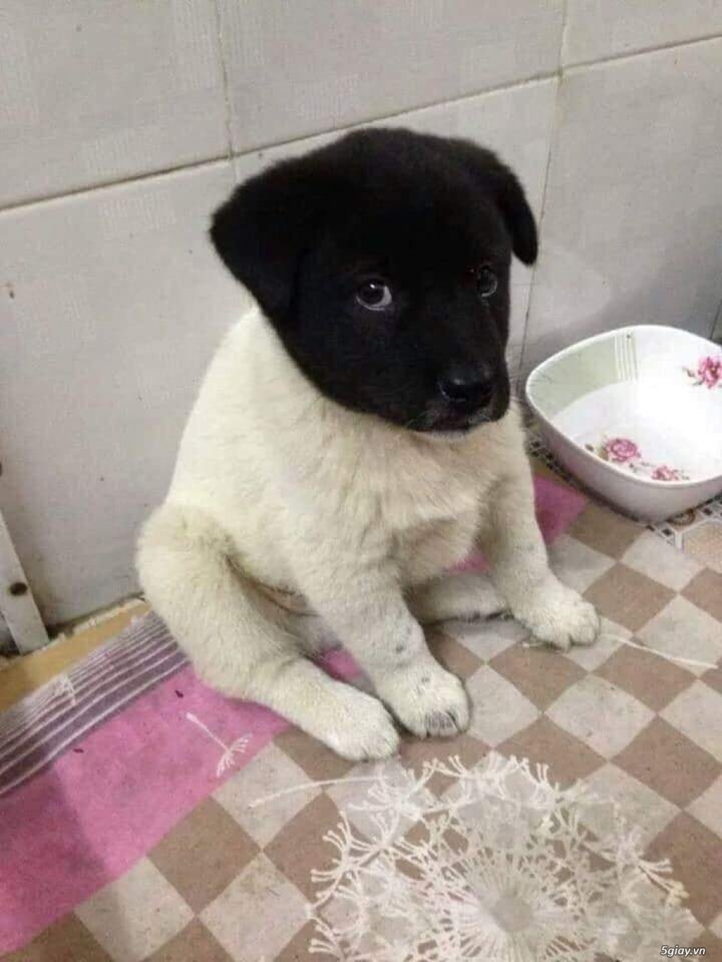 Hình hài hước... Nhiều thể loại vui nhôn - 3