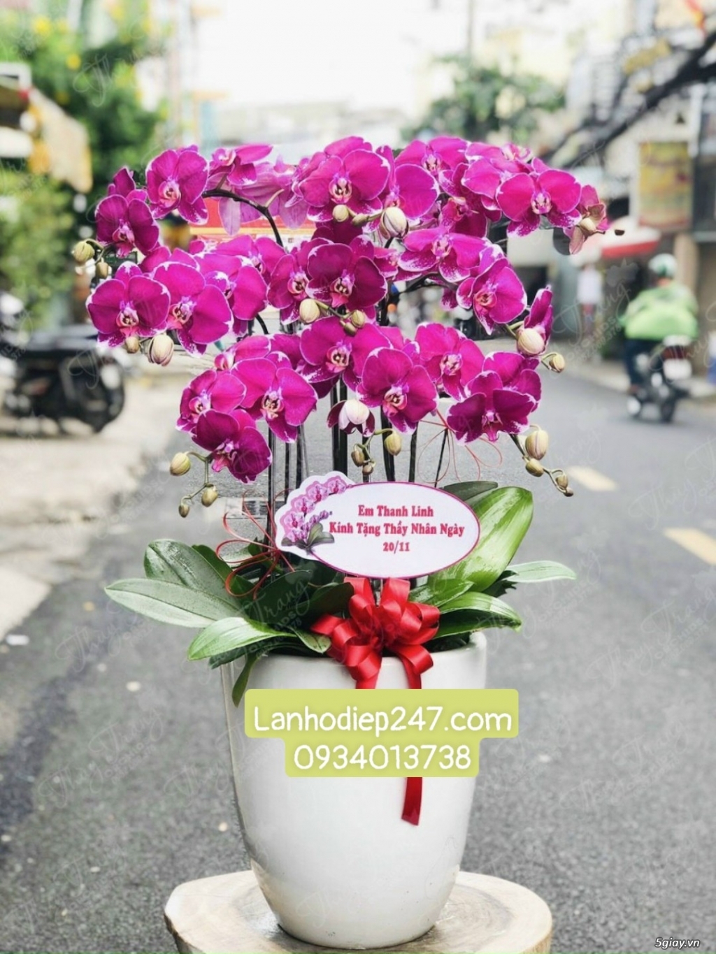 Bạn muốn mua LAN HỒ ĐIỆP tặng người thân, chọn hoa vip tại hoatuoi247 - 7