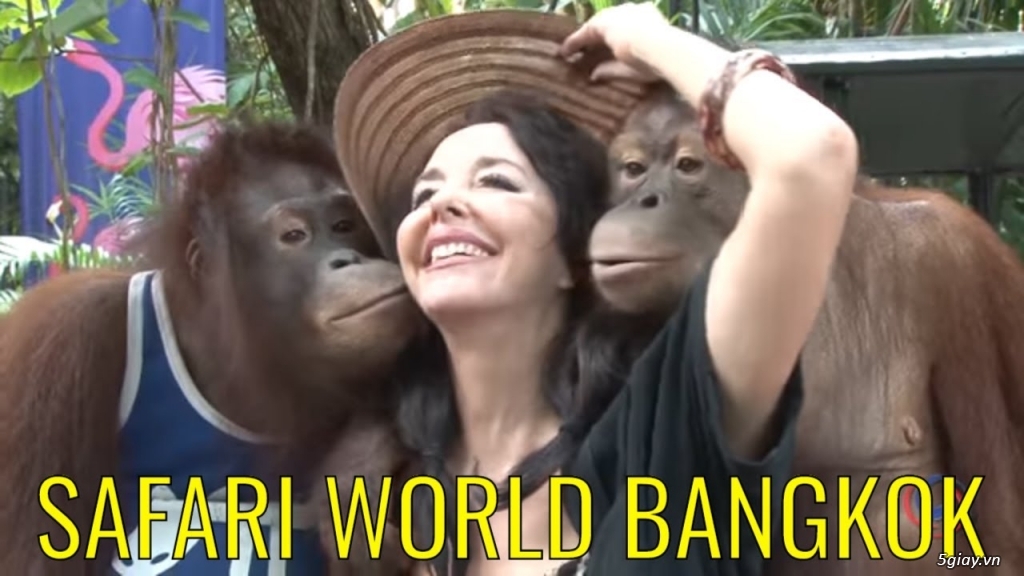 Tua Thái Lan đi Safari World