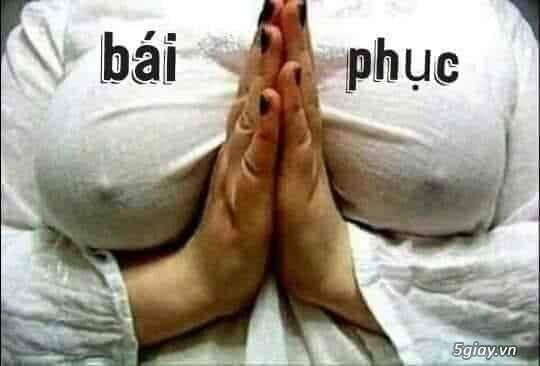 Hình hài hước... Nhiều thể loại vui nhôn - 1