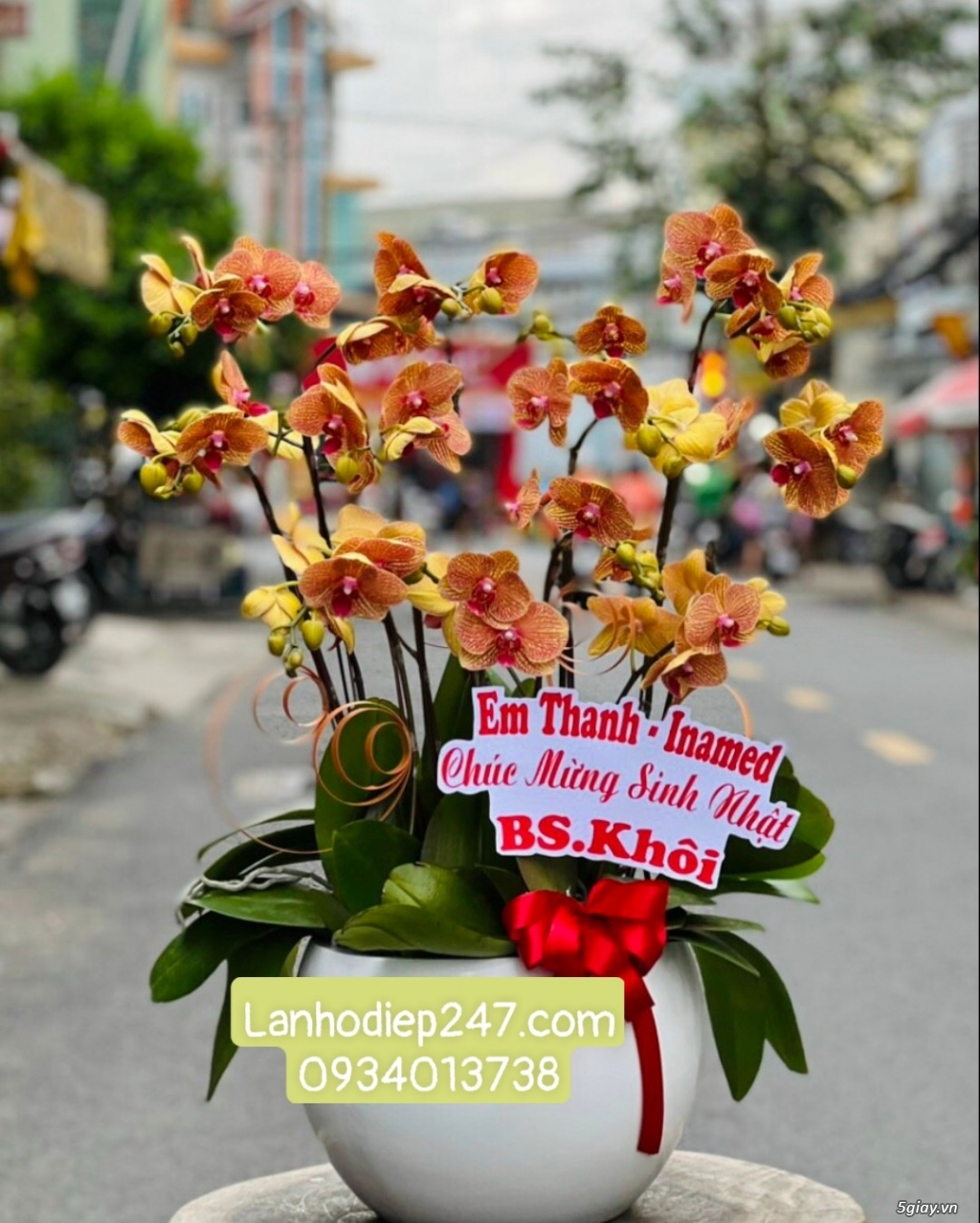 Hoa Tươi 247 Sài Gòn là dịch vụ hoa tươi số 1 TPHCM chuyên Lan Hồ Điệp - 5