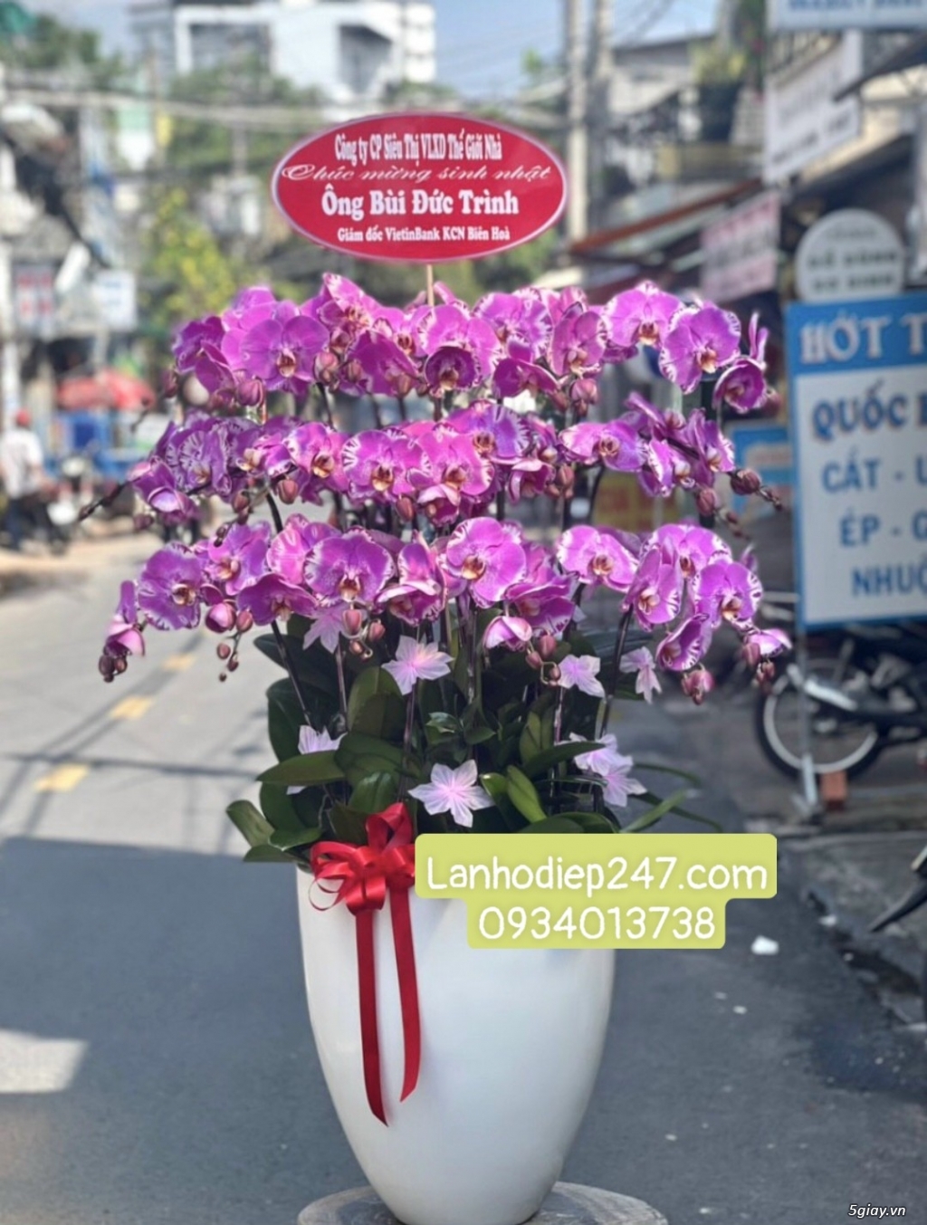 Shop Lan Hồ Điệp cao cấp chất lượng số 1 TPHCM - Hoa Tươi 247 Sài Gòn - 11