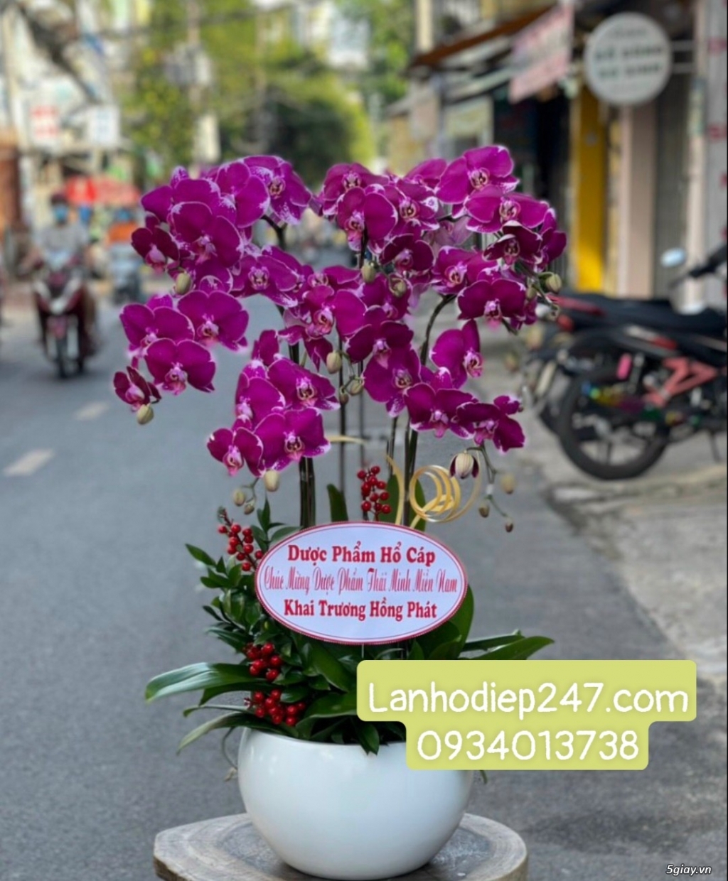 Hoa Tươi 247 Sài Gòn là dịch vụ hoa tươi số 1 TPHCM chuyên Lan Hồ Điệp