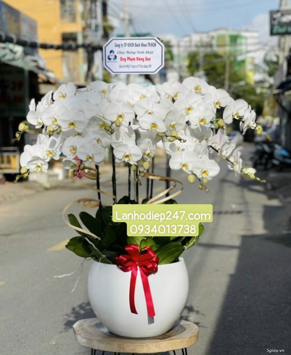 Hoa Tươi 247 Sài Gòn là dịch vụ hoa tươi số 1 TPHCM chuyên Lan Hồ Điệp - 1