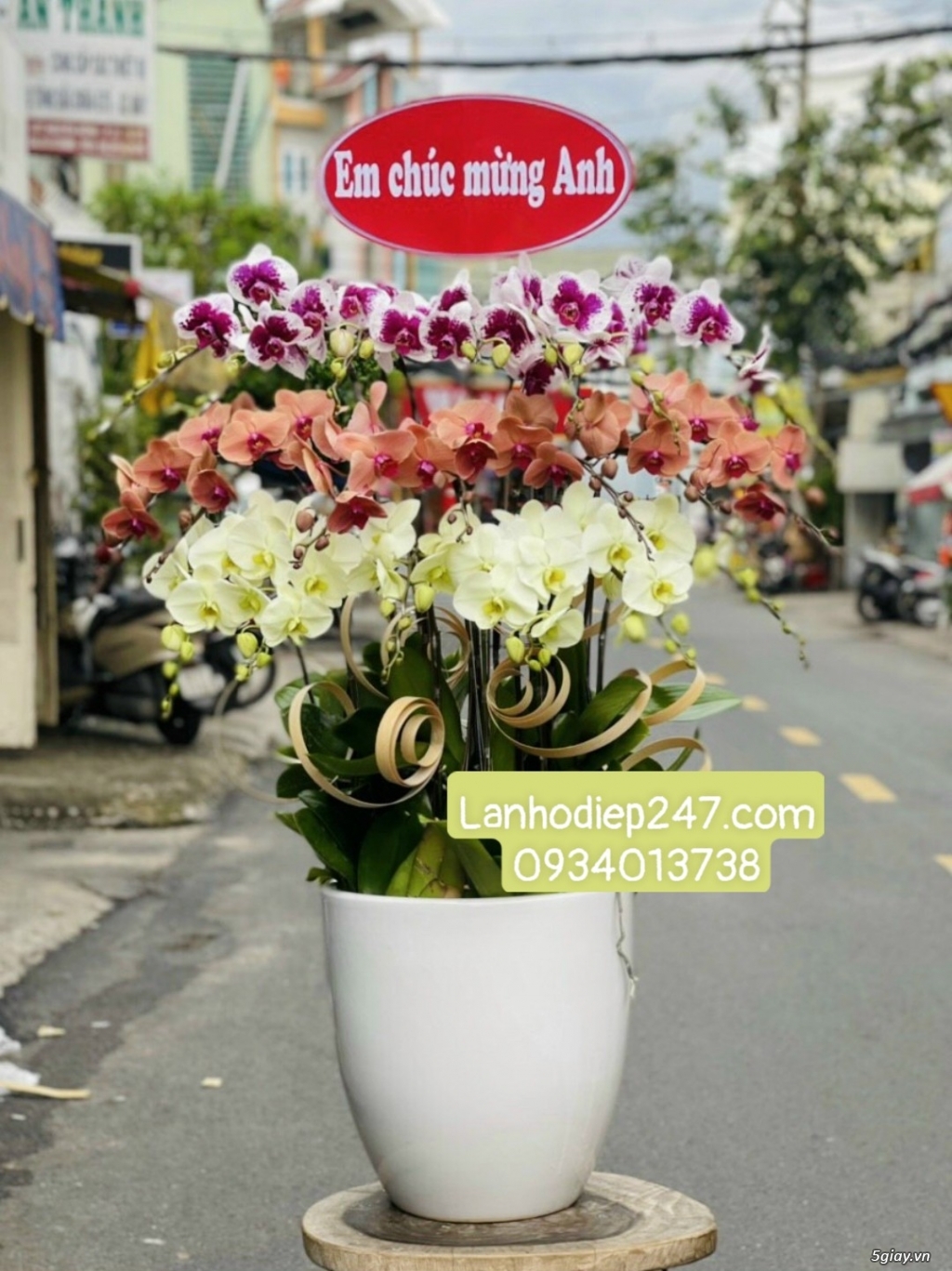 Hoa Tươi 247 Sài Gòn là dịch vụ hoa tươi số 1 TPHCM chuyên Lan Hồ Điệp - 2