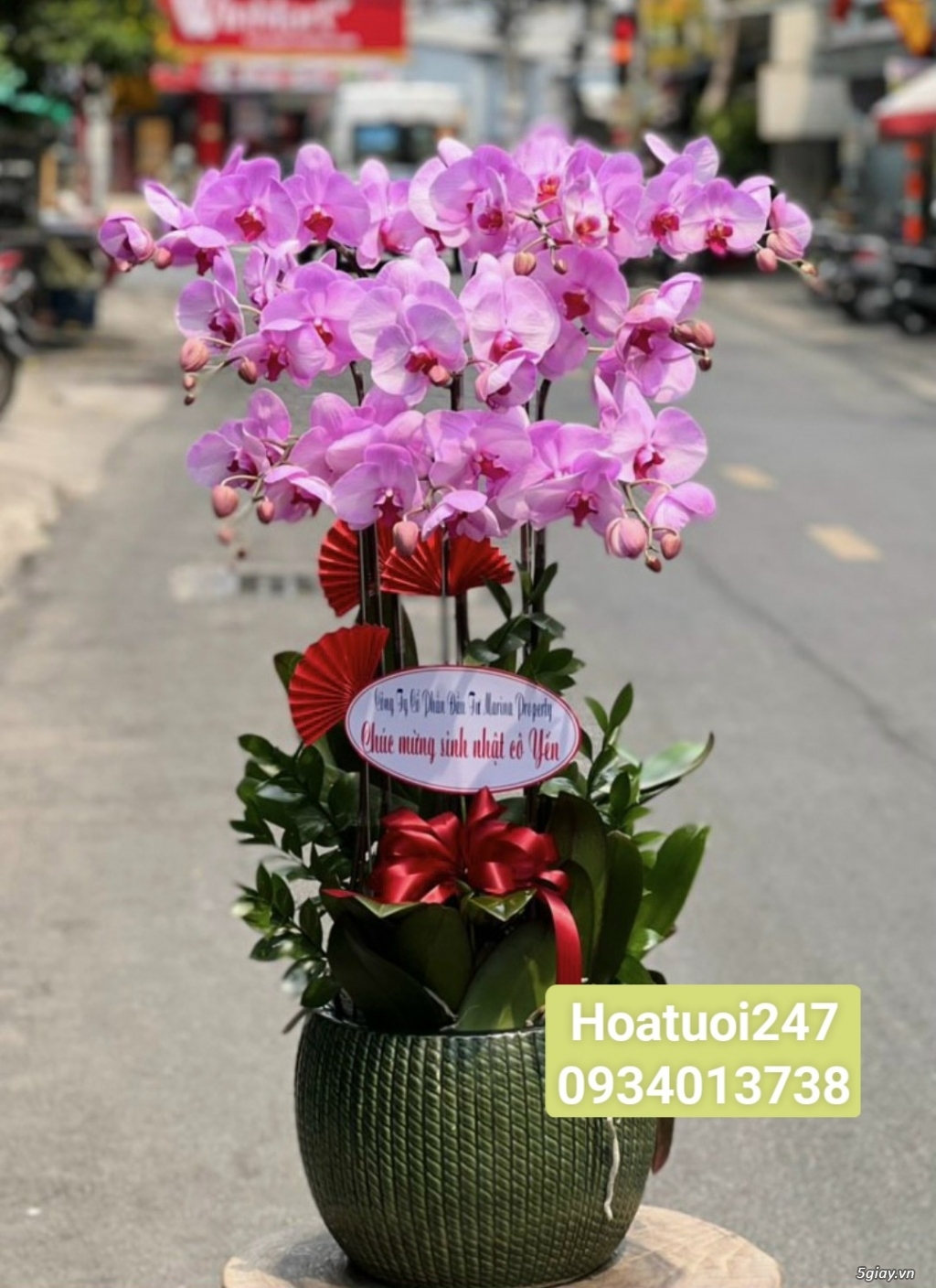 Đặt chậu Lan Hồ Điệp mừng khai trương tại Shop Hoa Tươi 247 Sài Gòn - 13