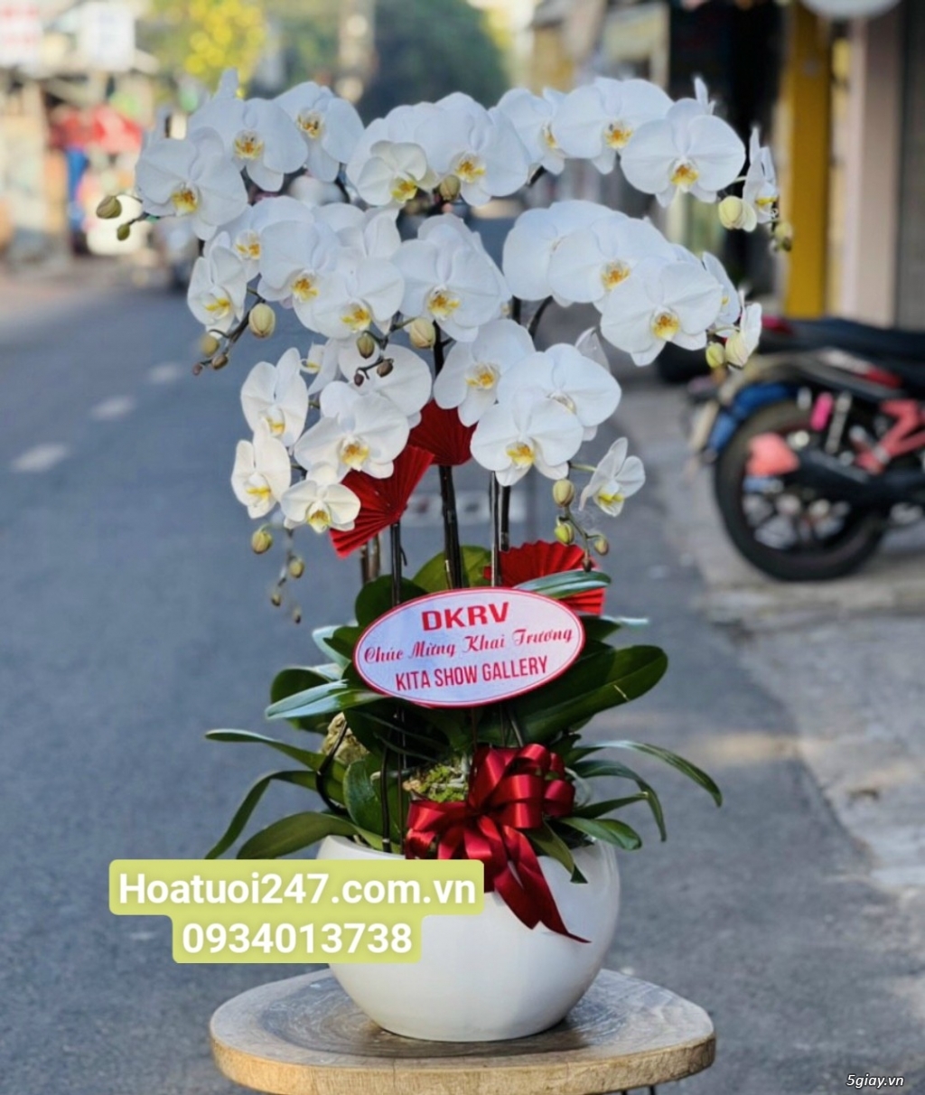 Đặt chậu Lan Hồ Điệp mừng khai trương tại Shop Hoa Tươi 247 Sài Gòn - 12