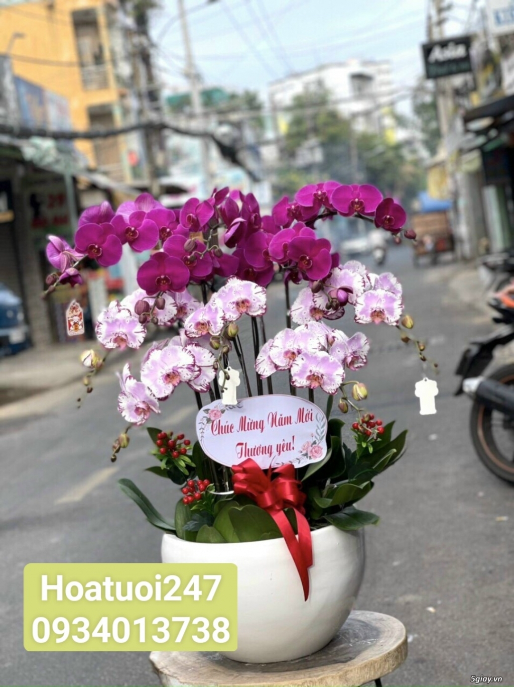Các mẫu hoa chia buồn bằng Lan Hồ Điệp tại Shop Hoa Tươi 247 TPHCM - 13