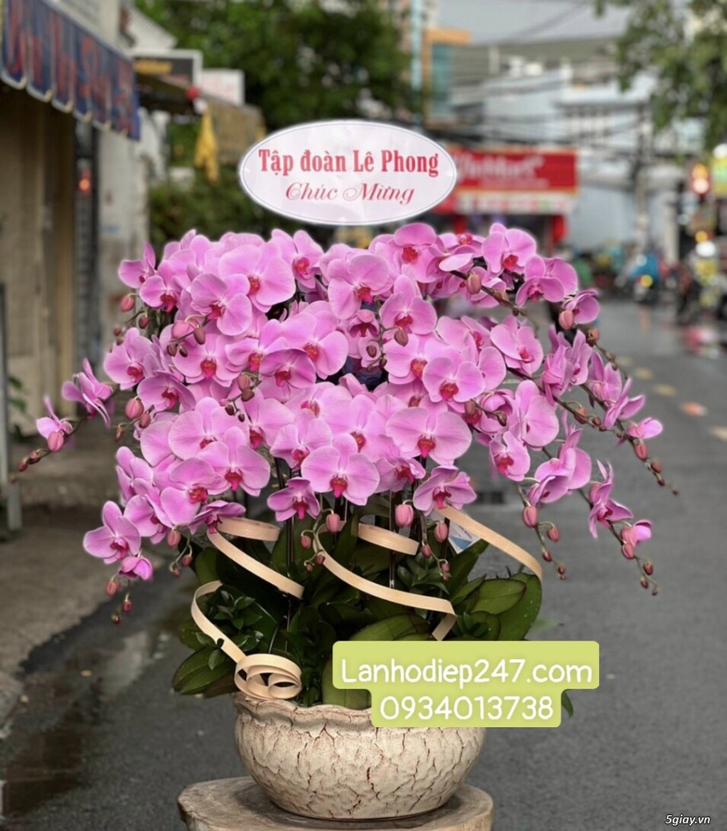 Cửa hàng Hoa Sài Gòn 247 là địa điểm đặt hoa uy tín nhất Sài Gòn - 12
