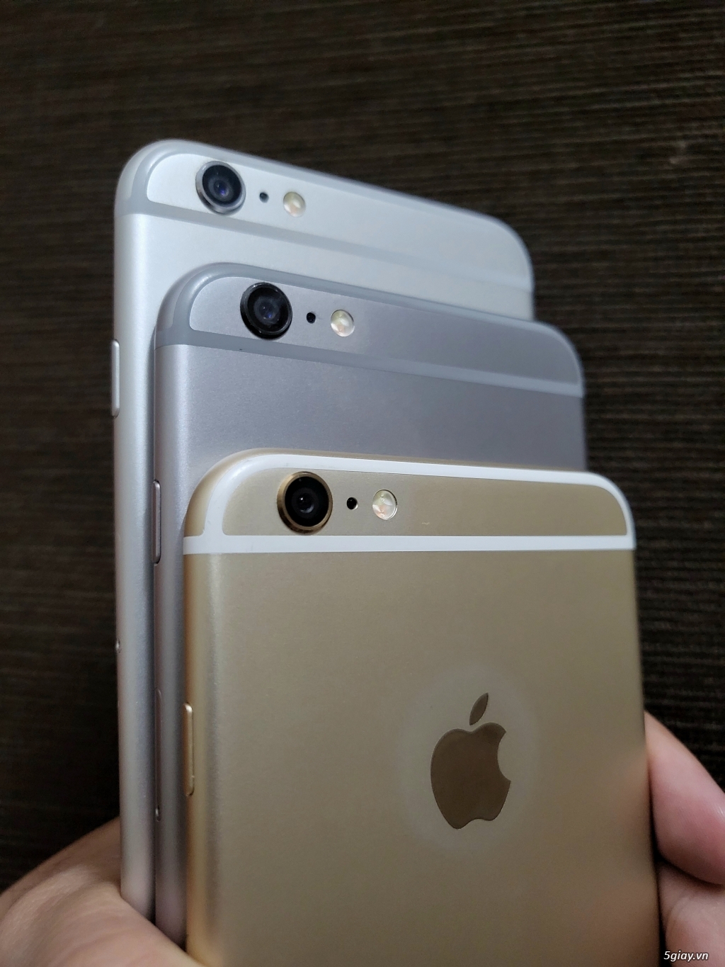 iPhone 6 và 6 Plus - 5giay.vn giá tốt - 1