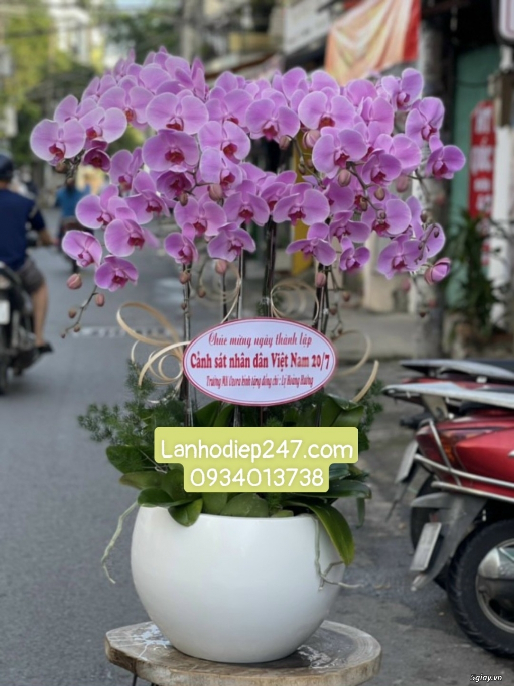 Shop hoa chuyên lan hồ điệp cao cấp nổi tiếng tphcm - Hoa Sài Gòn 247 - 16