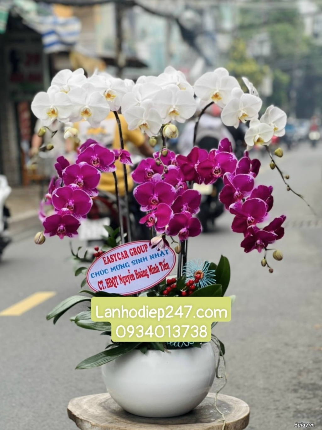 Shop hoa chuyên lan hồ điệp cao cấp nổi tiếng tphcm - Hoa Sài Gòn 247