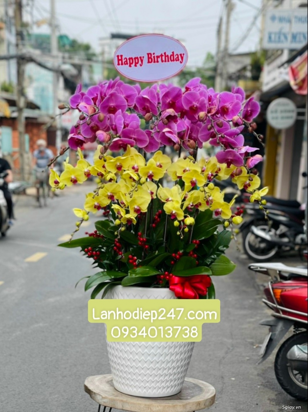 Shop hoa chuyên lan hồ điệp cao cấp nổi tiếng tphcm - Hoa Sài Gòn 247 - 14