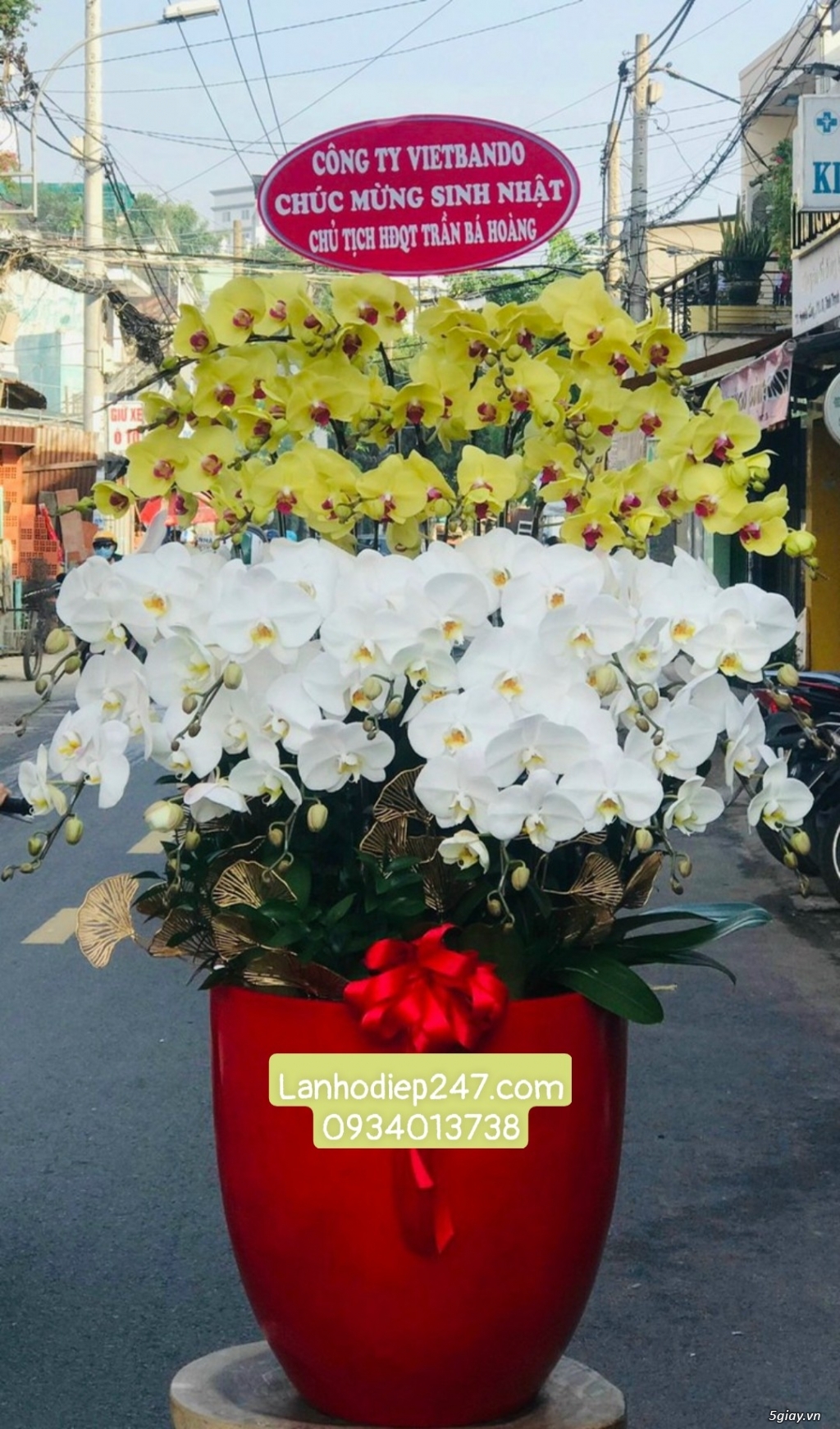 Shop hoa tươi tphcm chuyên bán lan hồ điệp đẹp cao cấp nhất sài gòn - 12