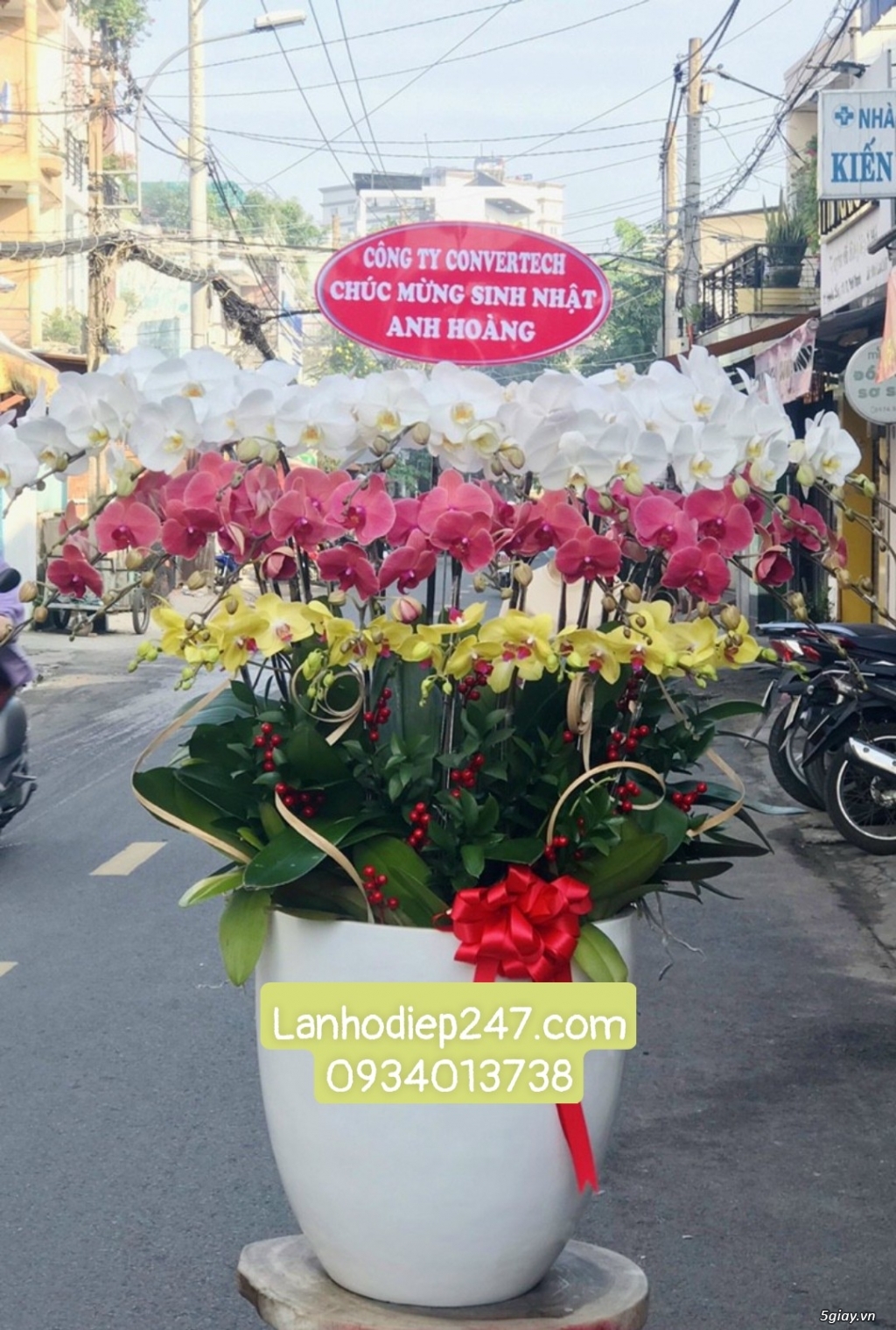 Tư vấn bí quyết tặng hoa theo phong thủy từ Shop Hoa Lan TPHCM 247 - 2