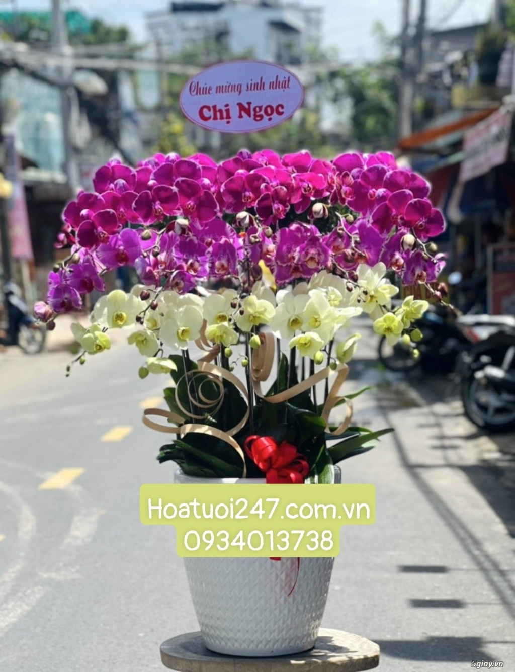 Shop Hoa Tươi TPHCM 247 chuyên Lan Hồ Điệp cao cấp Sài Gòn 0934013738 - 14