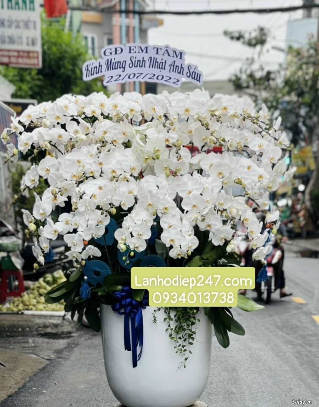 Tặng hoa khai trương bằng Lan Hồ Điệp trắng - Khởi đầu mới thuận lợi - 11