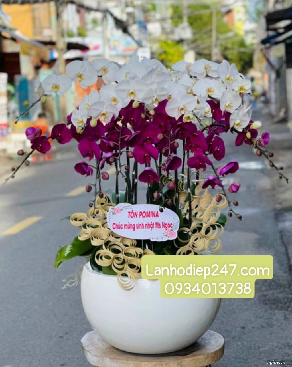 Địa chỉ bán Lan Hồ Điệp đẹp cao cấp số 1 tphcm - Hoatuoi247.com.vn - 14