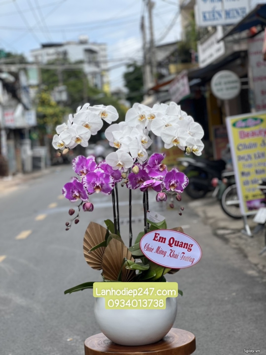 Hoa mừng tân gia bằng Lan Hồ Điệp là món quà đẳng cấp sang trọng số 1 - 14