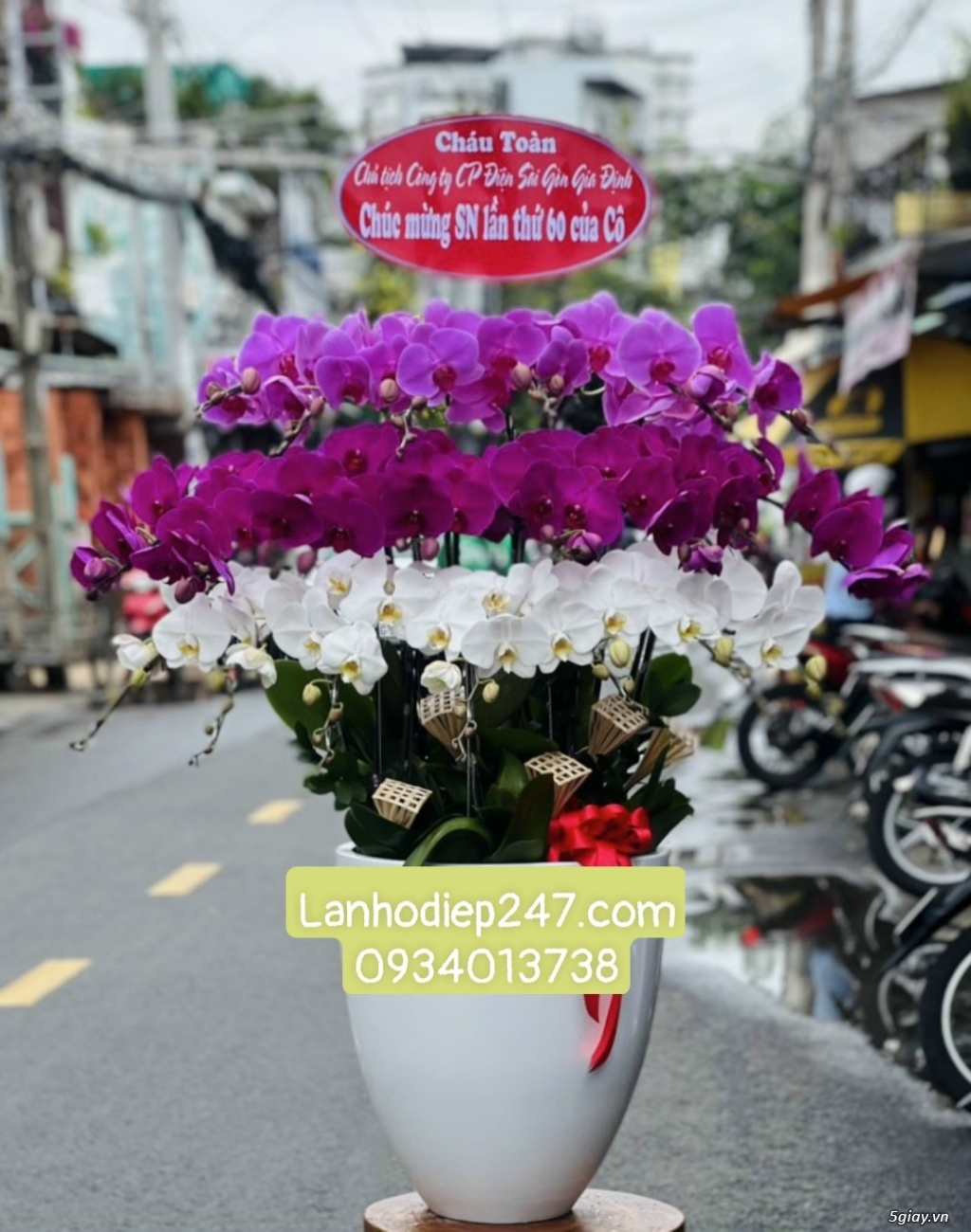 Hoa mừng tân gia bằng Lan Hồ Điệp là món quà đẳng cấp sang trọng số 1 - 10