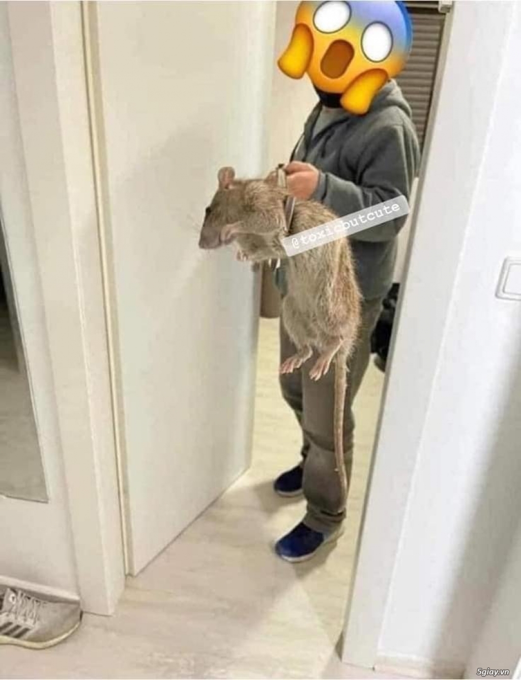 Hình hài hước... Nhiều thể loại vui nhôn - 4