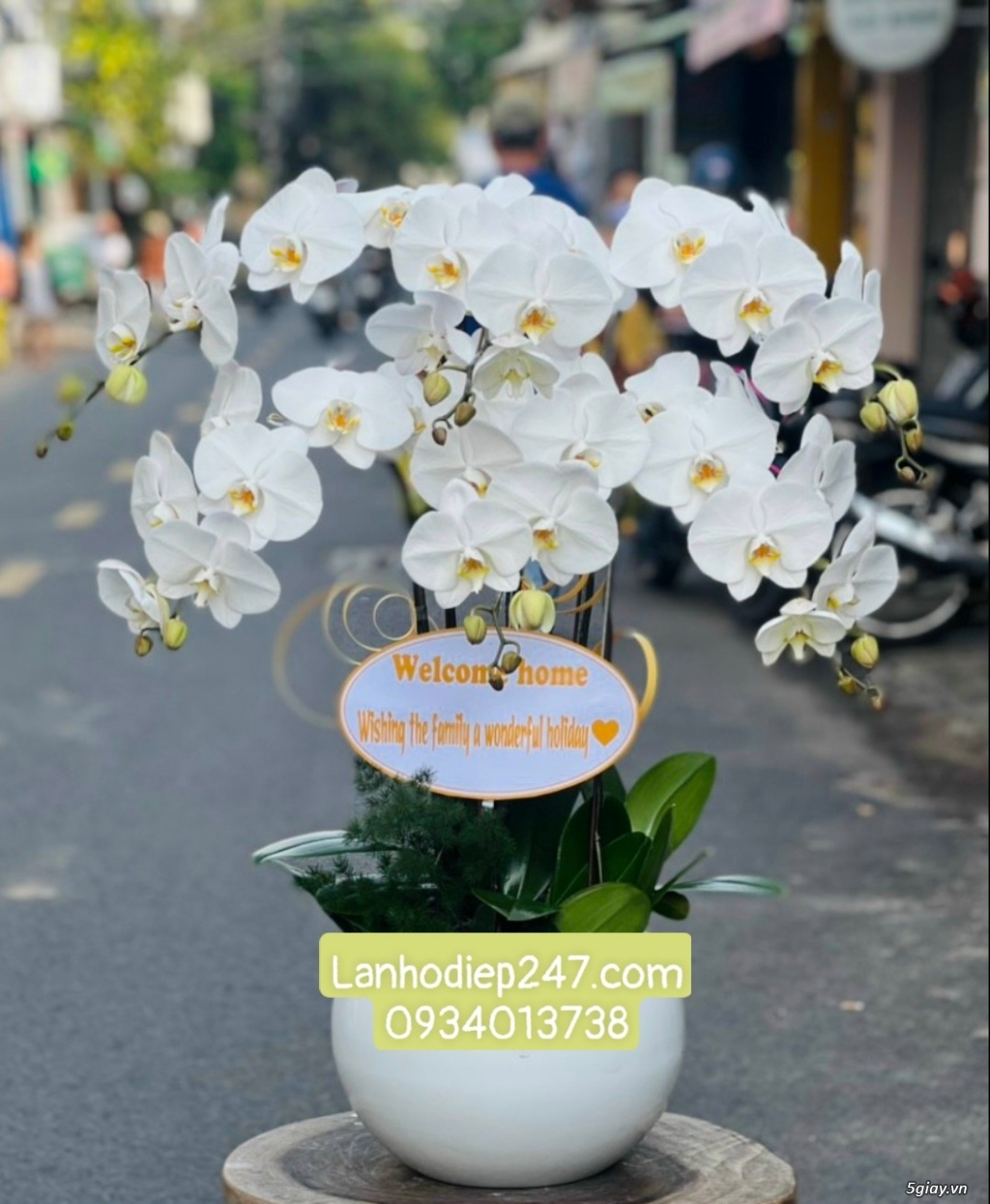 Shop hoa tươi chuyên cung cấp Lan Hồ Điệp VIP nhất Sài Gòn 0934013738 - 10