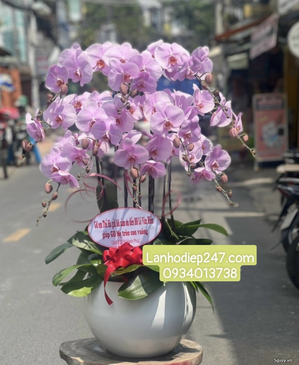 Shop hoa tươi chuyên cung cấp Lan Hồ Điệp VIP nhất Sài Gòn 0934013738 - 14