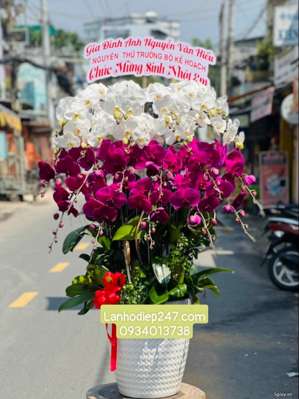 Shop hoa lan hồ điệp cao cấp nhất sài gòn chuyên Lan VIP Đà Lạt - 12