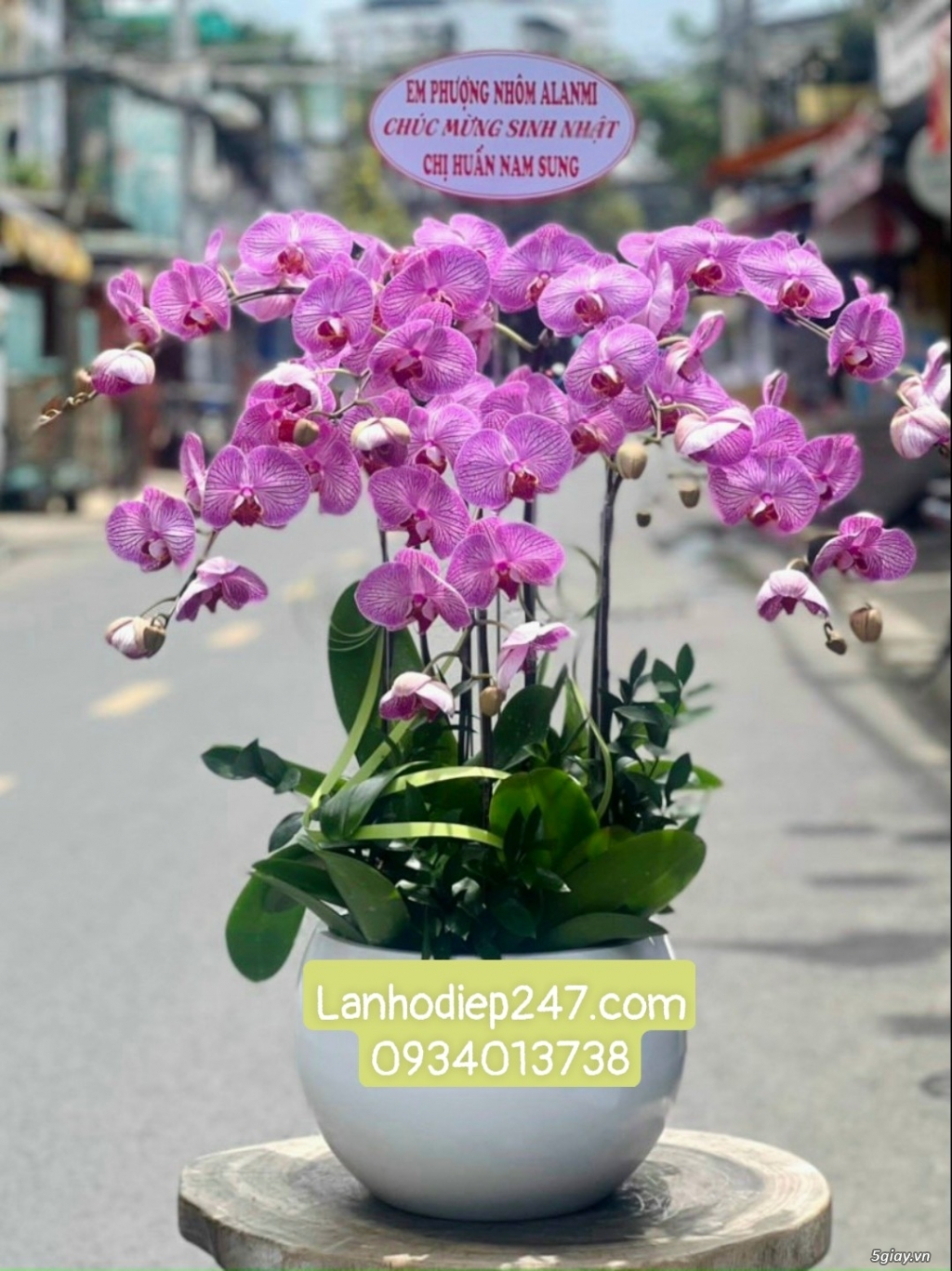 Mua Lan Hồ Điệp tại Sài Gòn, đặt hoa onine giao hàng miễn phí tại nơi - 13