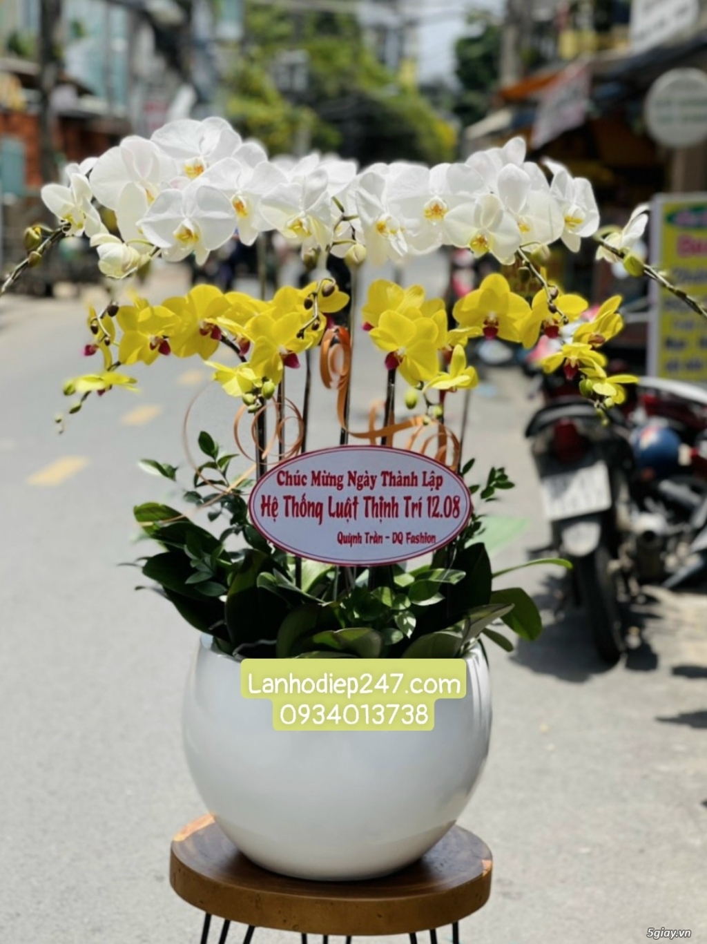 Mua Lan Hồ Điệp tại Sài Gòn, đặt hoa onine giao hàng miễn phí tại nơi - 11