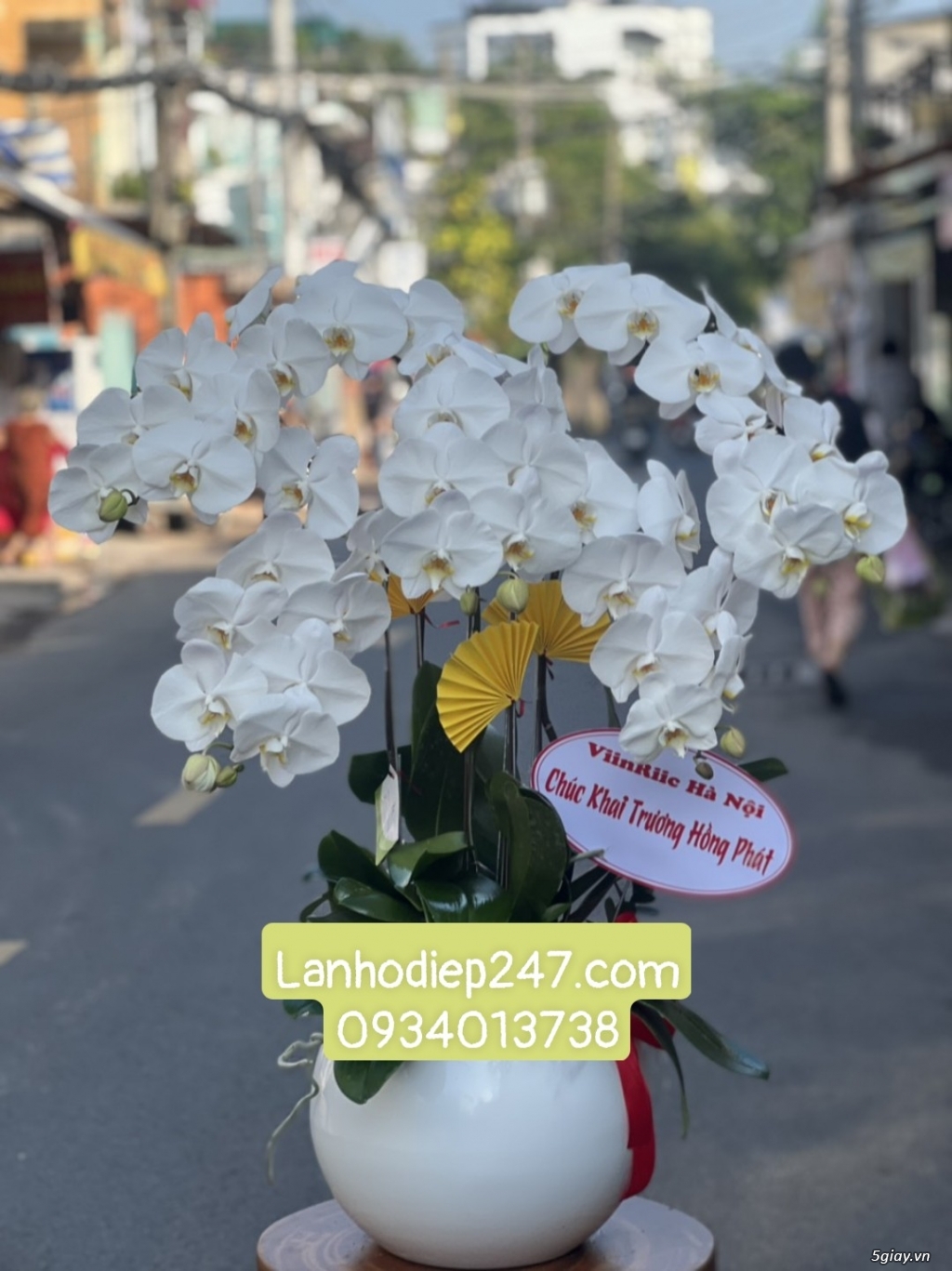 Mua Lan Hồ Điệp tại Sài Gòn, đặt hoa onine giao hàng miễn phí tại nơi - 12