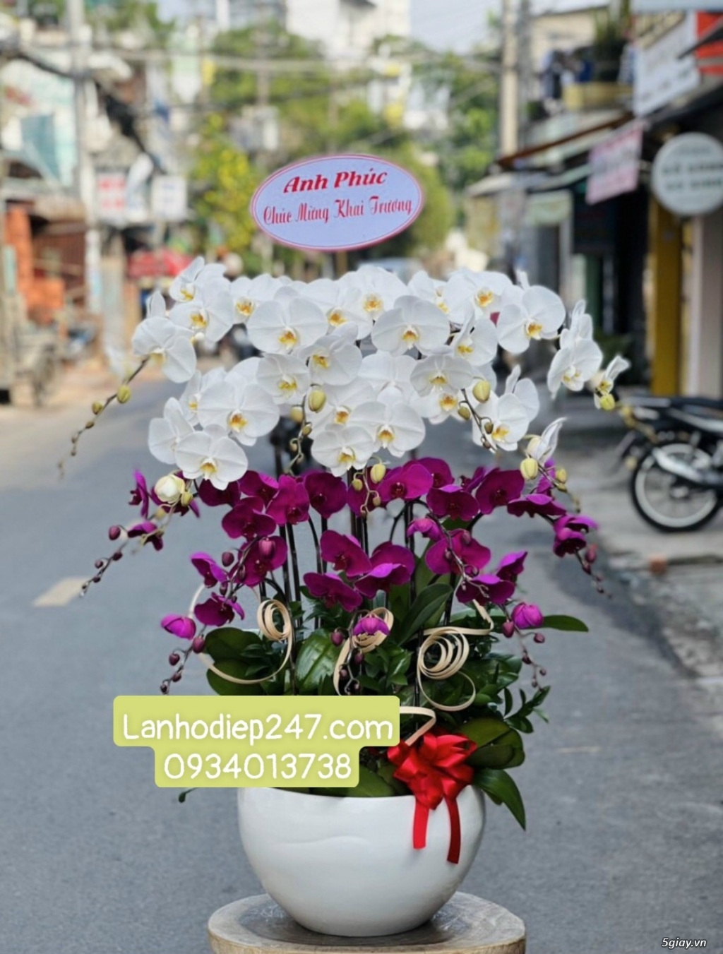 Shop Lan Hồ Điệp Sài Gòn 247 chuyên cung cấp hoa tươi uy tín số 1 HCM - 15