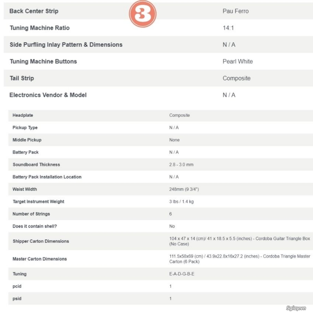 Top guitar Fender - Cort - Cordoba chính hãng tại Duy Guitar Store - 8