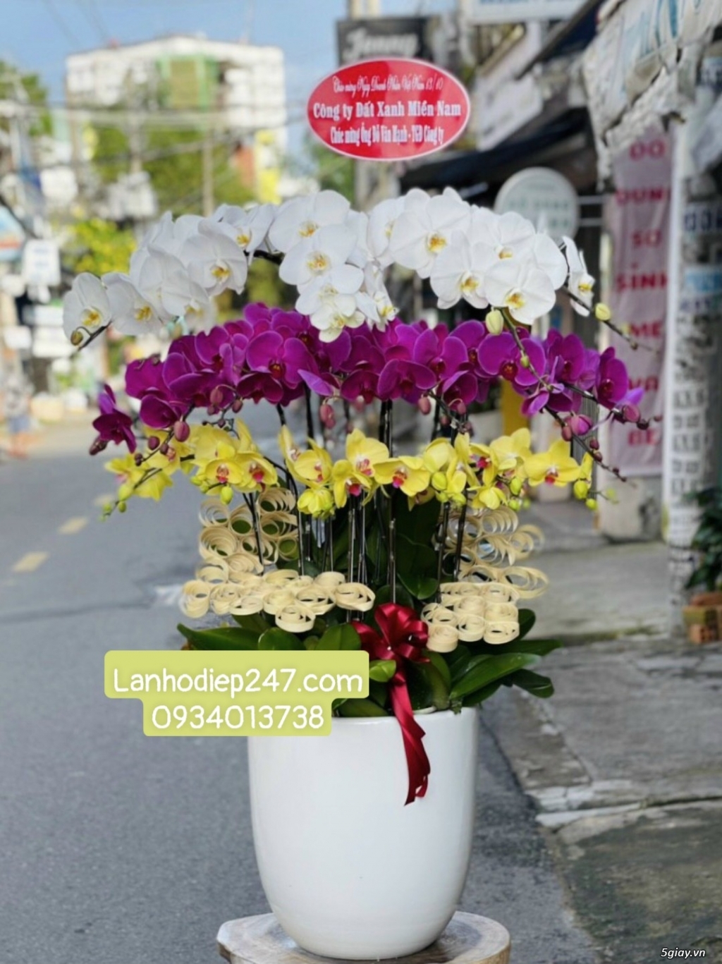 Shop Lan Hồ Điệp Sài Gòn 247 chuyên cung cấp hoa tươi uy tín số 1 HCM - 14