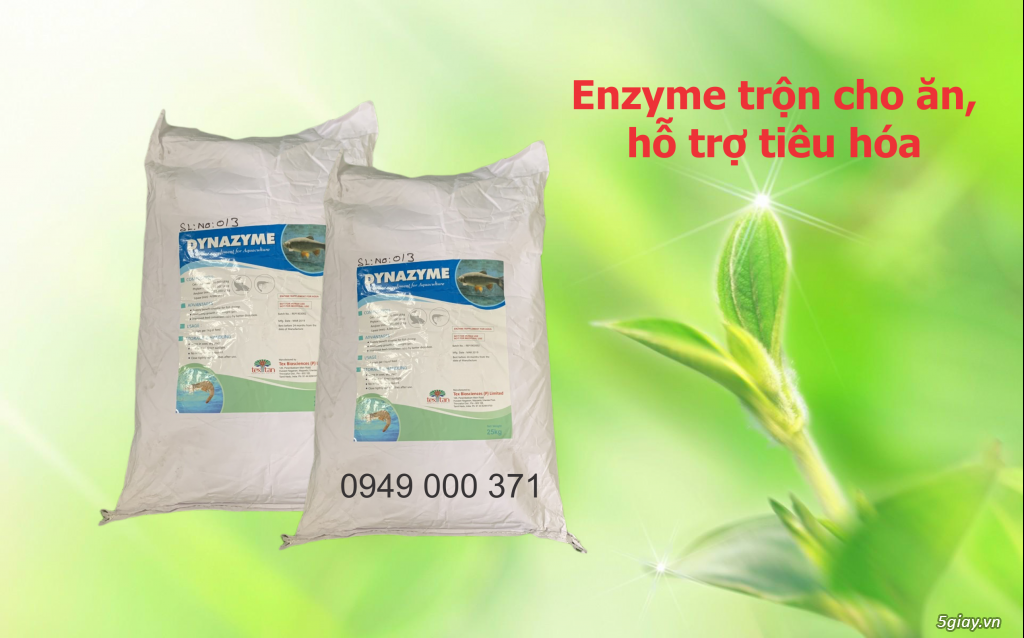 Dynazyme - Enzyme đường ruột , hỗ trợ tiêu hóa
