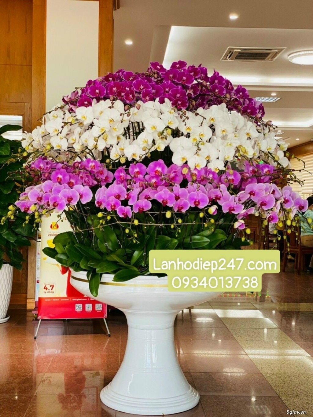 Shop Lan Hồ Điệp Sài Gòn 247 chuyên cung cấp hoa tươi uy tín số 1 HCM - 12