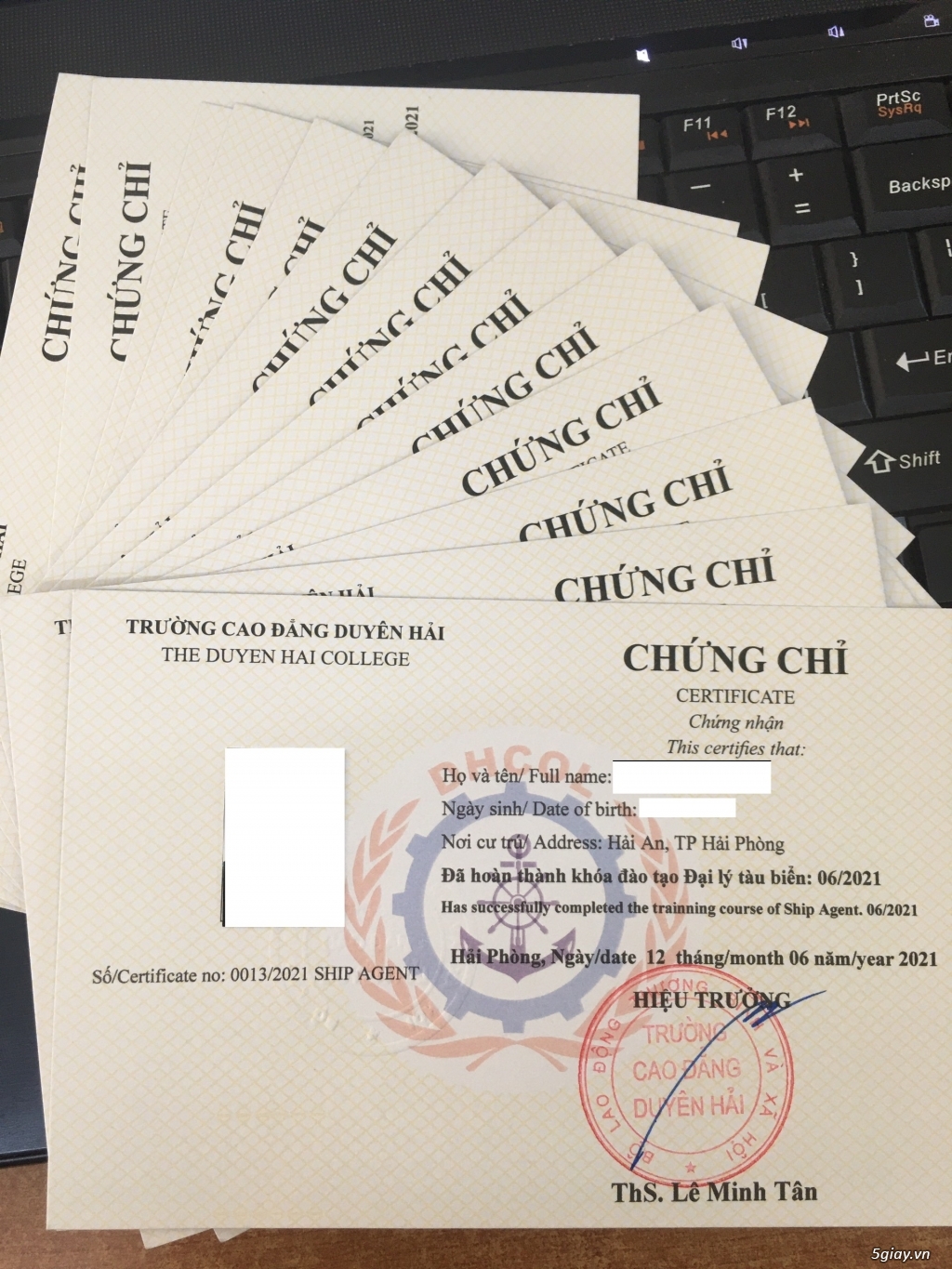 MỞ LỚP ĐÀO TẠO VÀ CẤP CHỨNG CHỈ ĐẠI LÝ TÀU BIỂN (online)