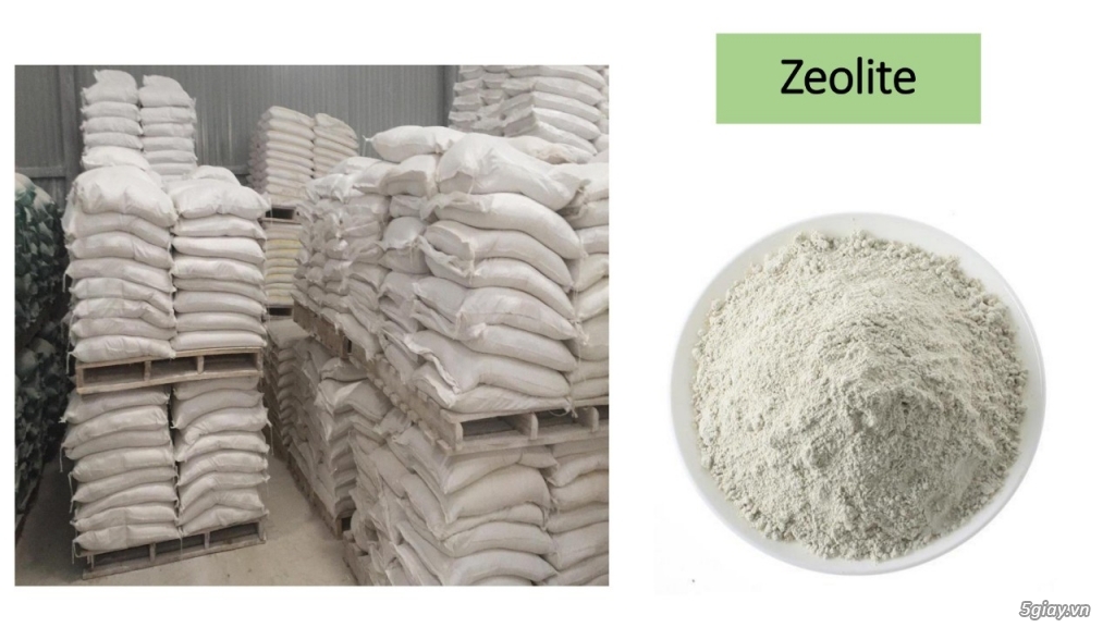 Zeolite chuyên dụng cho thuỷ sản