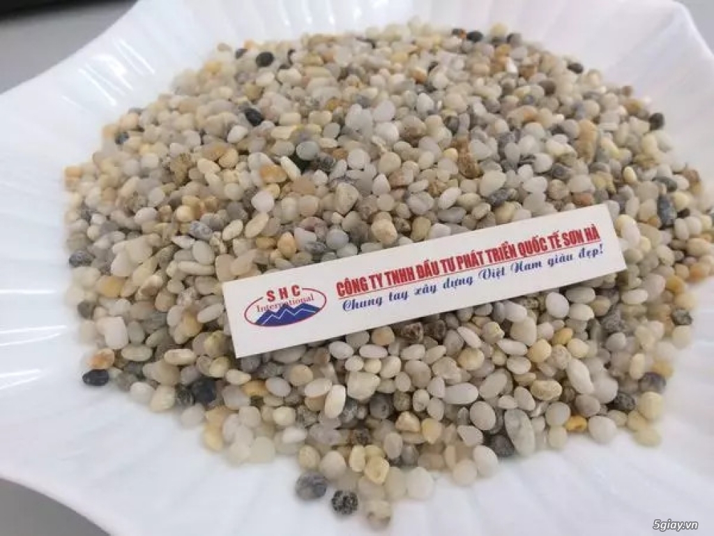 Sỏi biển trang trí thuỷ sinh giá tốt nhất 5giay.vn