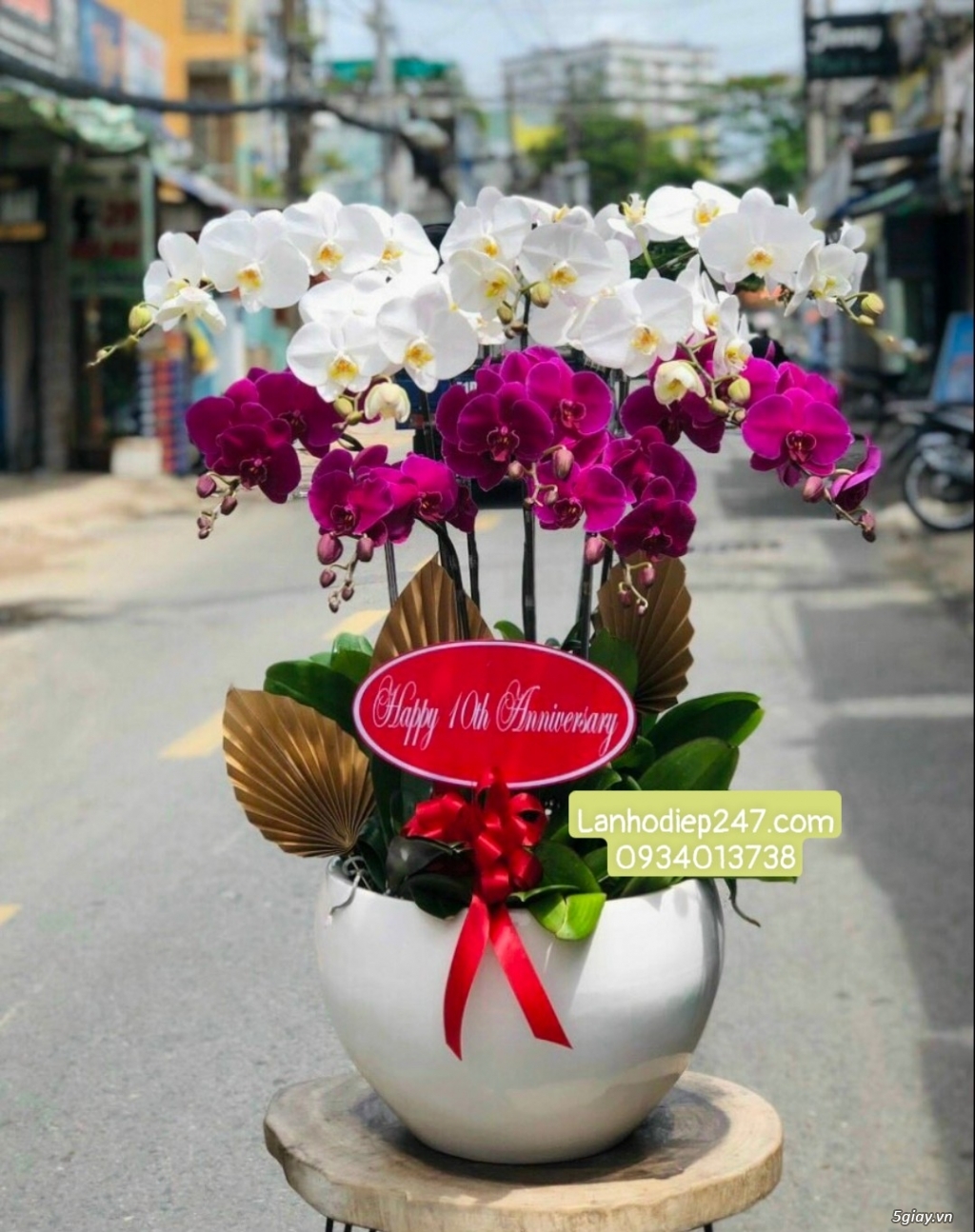 Địa chỉ mua hoa lan hồ điệp uy tín giá tốt nhất TPHCM - Hoa Tươi 247 - 11