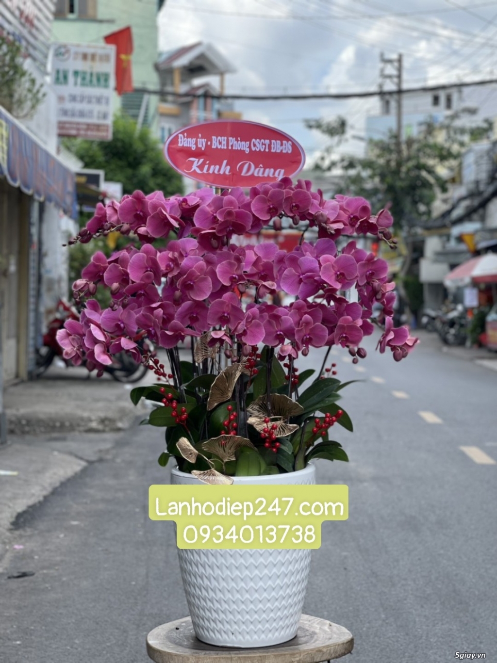 Địa chỉ mua hoa lan hồ điệp uy tín giá tốt nhất TPHCM - Hoa Tươi 247 - 13