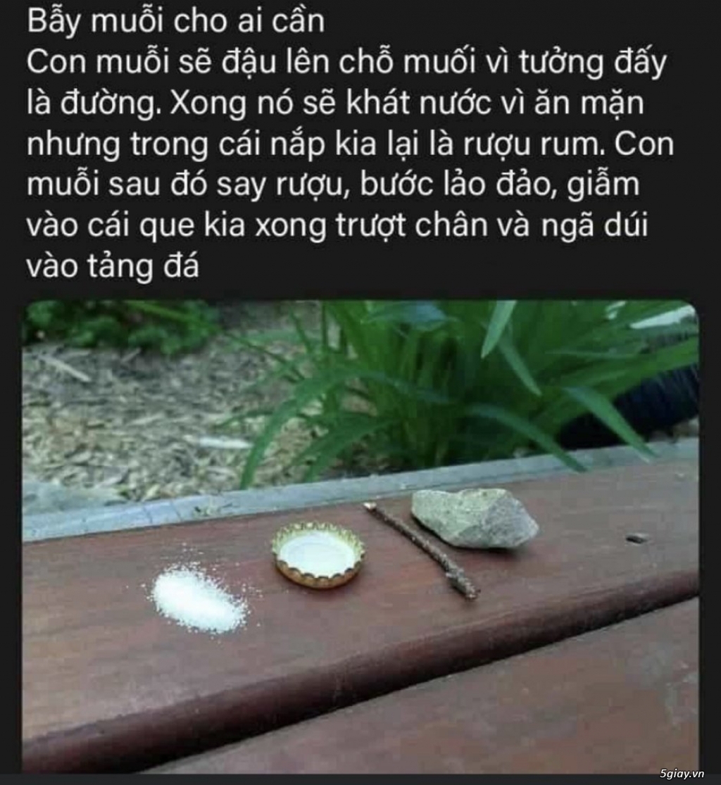 Hình hài hước... Nhiều thể loại vui nhôn - 1